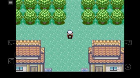battle frontier dupes clause emerald.
